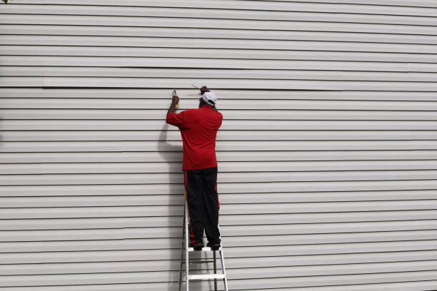 Best Brick Veneer Siding  in Park City, UT