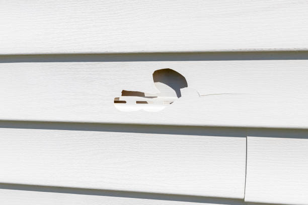 Best Stone Veneer Siding  in Park City, UT