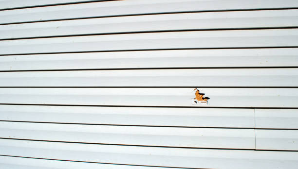 Best Historical Building Siding Restoration  in Park City, UT