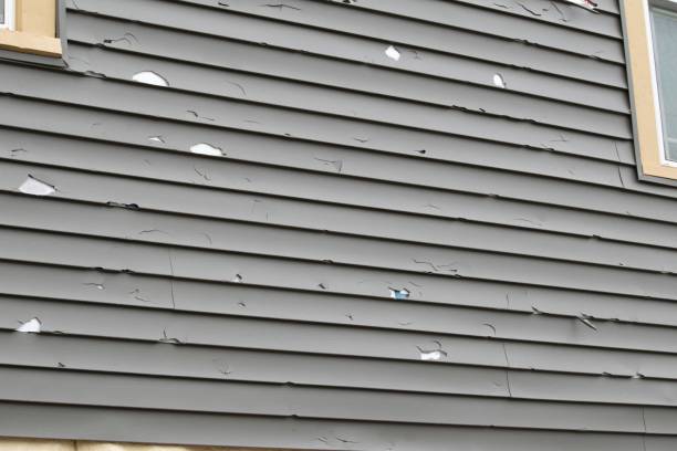Best Residential Vinyl Siding Installation  in Park City, UT