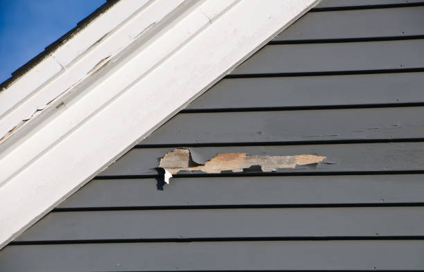 Best Weatherproofing and Sealing  in Park City, UT